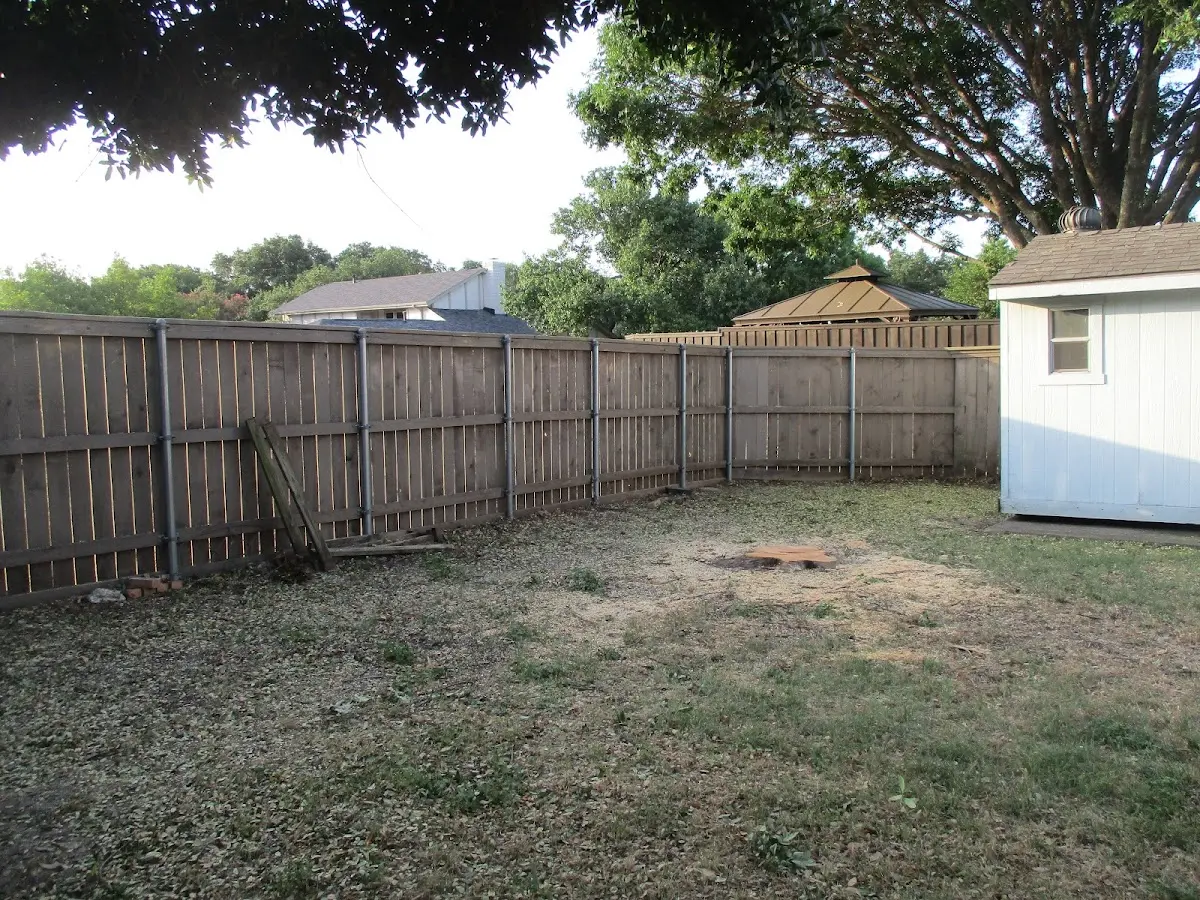 Cleared yard after professional tree removal in Verona Beach